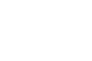 Wholebeing logomarca